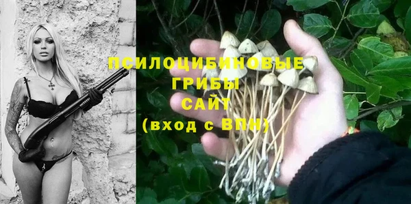 apvp Балабаново
